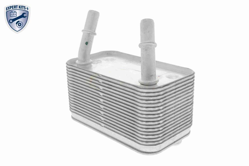 Radiador óleo motor VEMO ref. V48-60-0025