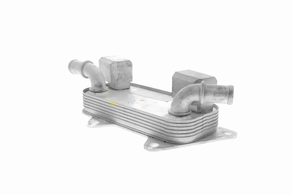 Radiador óleo motor VEMO ref. V48-60-0026