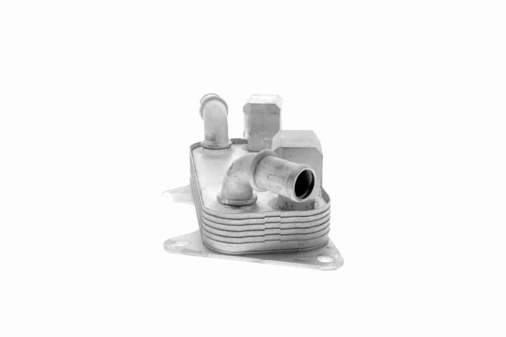 Radiador óleo motor VEMO ref. V48-60-0026