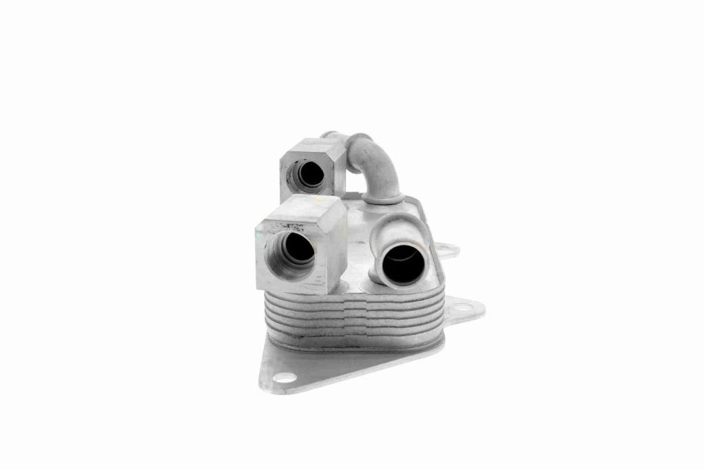 Radiador óleo motor VEMO ref. V48-60-0026