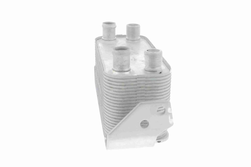 Radiador óleo motor VEMO ref. V48-60-0030