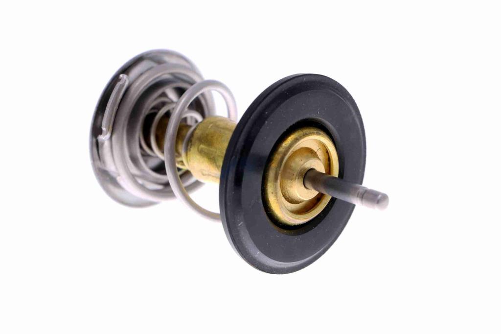 Thermostat d'eau (Calorstat) VEMO V48-99-0003