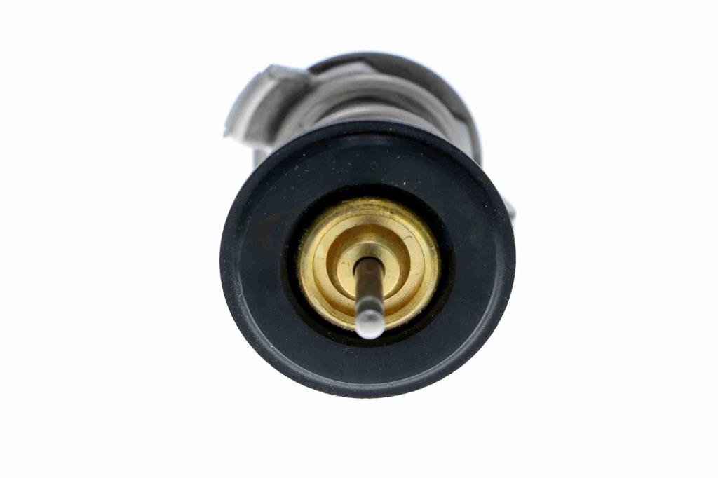 Thermostat d'eau (Calorstat) VEMO V48-99-0003