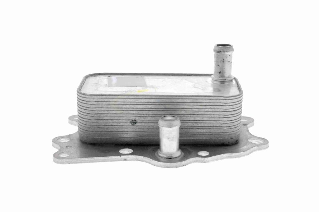Radiador óleo motor VEMO ref. V51-60-0004