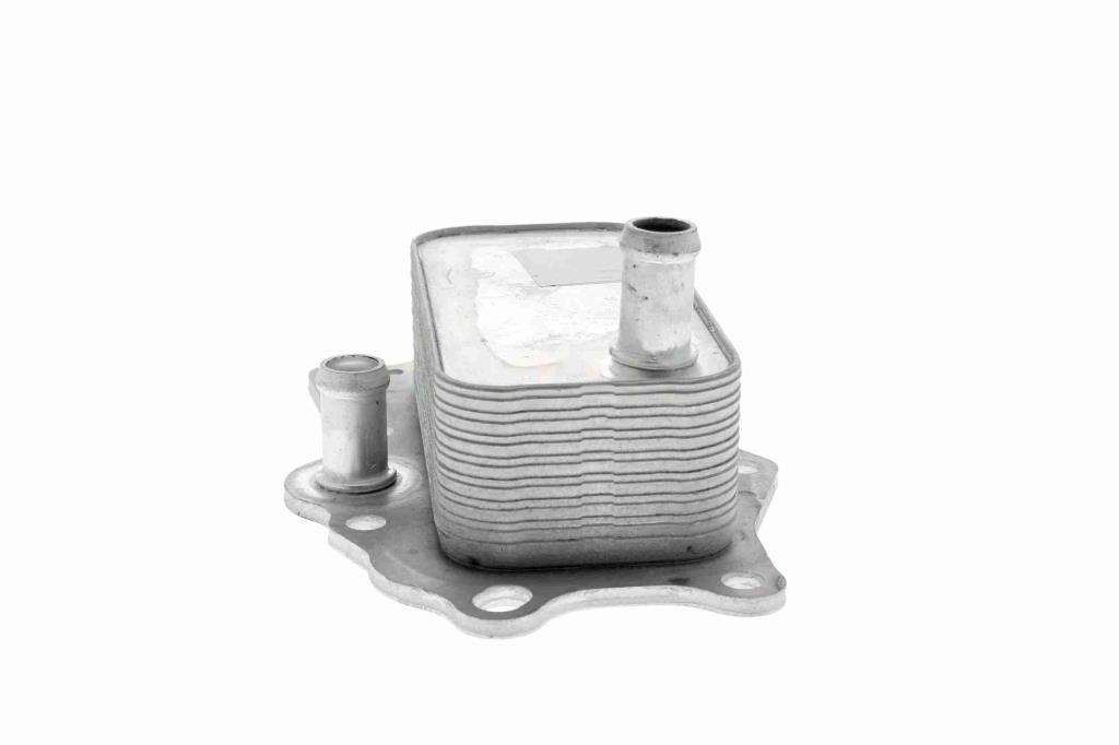 Radiador óleo motor VEMO ref. V51-60-0004