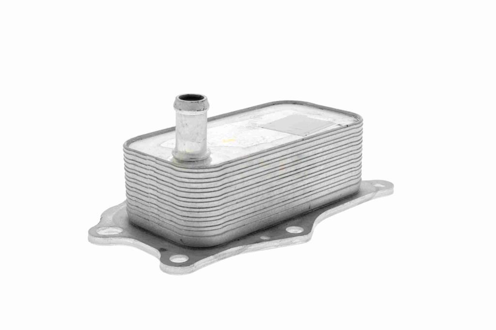 Radiador óleo motor VEMO ref. V51-60-0004