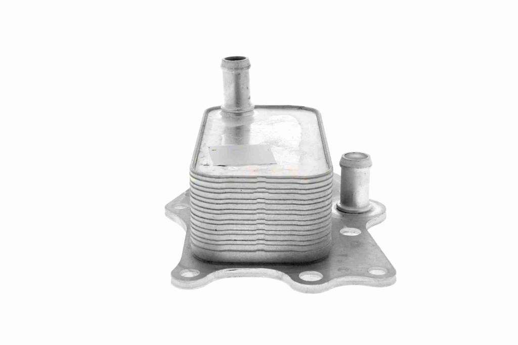 Radiador óleo motor VEMO ref. V51-60-0004