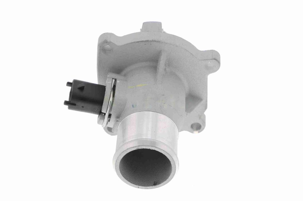Thermostat d'eau (Calorstat) VEMO V51-99-0005