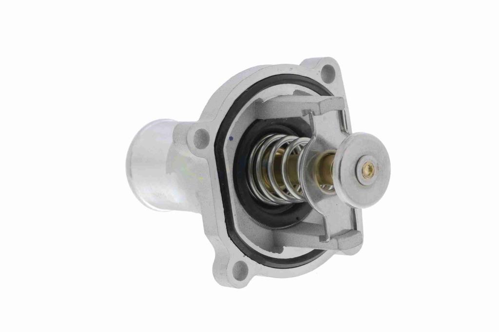 Thermostat d'eau (Calorstat) VEMO V51-99-0005