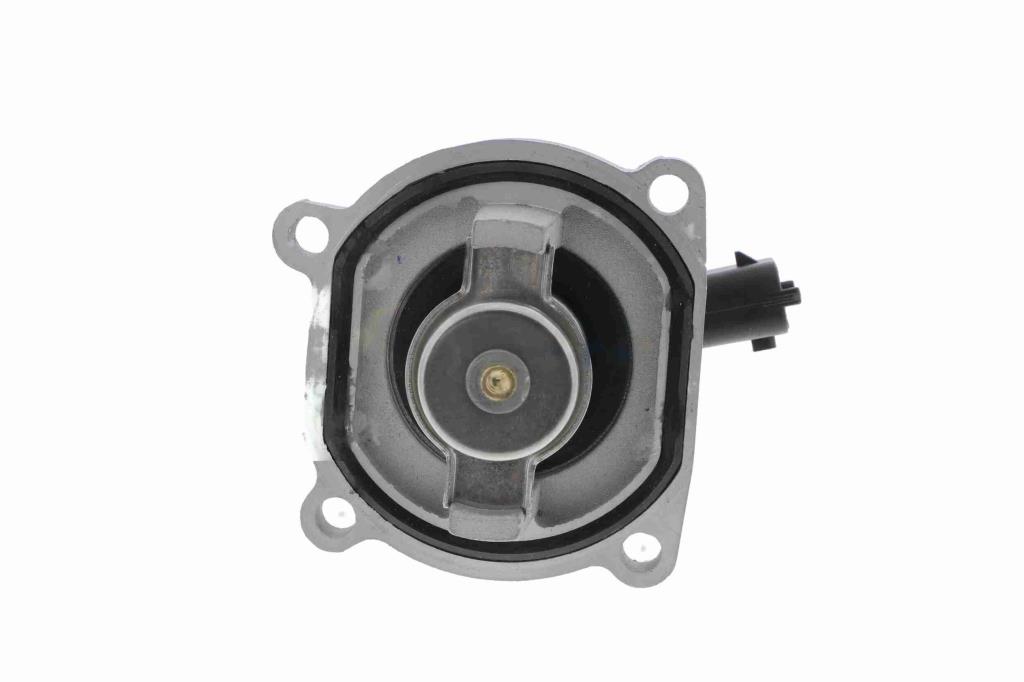Thermostat d'eau (Calorstat) VEMO V51-99-0005