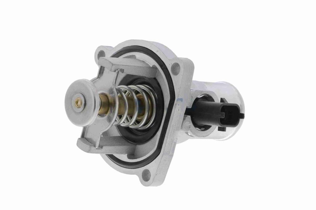 Thermostat d'eau (Calorstat) VEMO V51-99-0005
