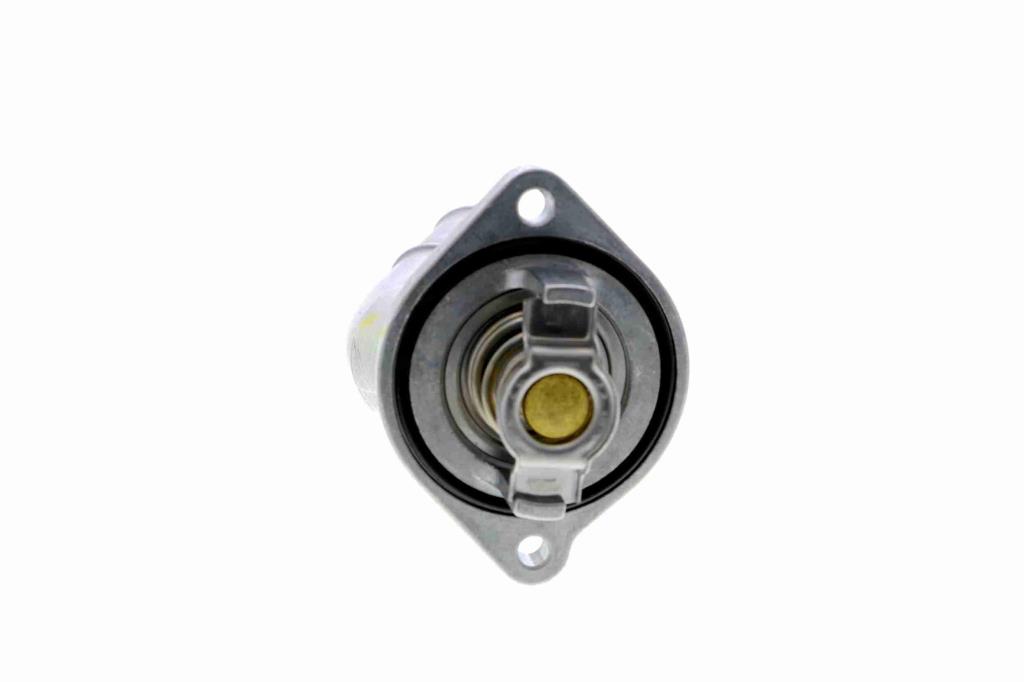 Thermostat d'eau (Calorstat) VEMO V51-99-0007
