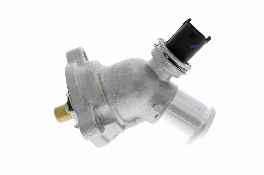 Thermostat d'eau (Calorstat) VEMO V51-99-0009
