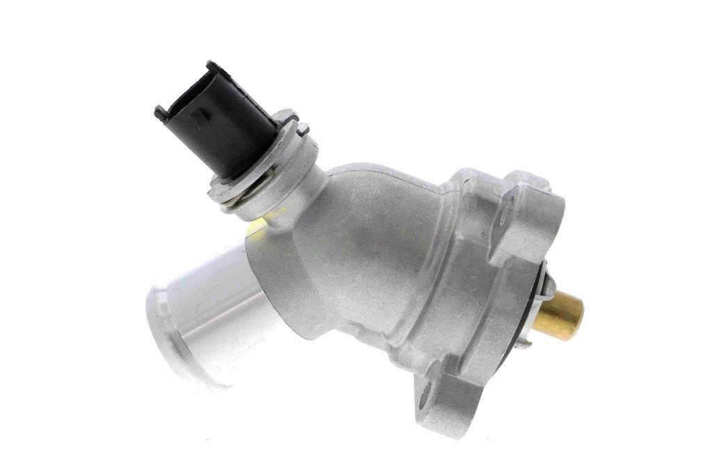 Thermostat d'eau (Calorstat) VEMO V51-99-0009