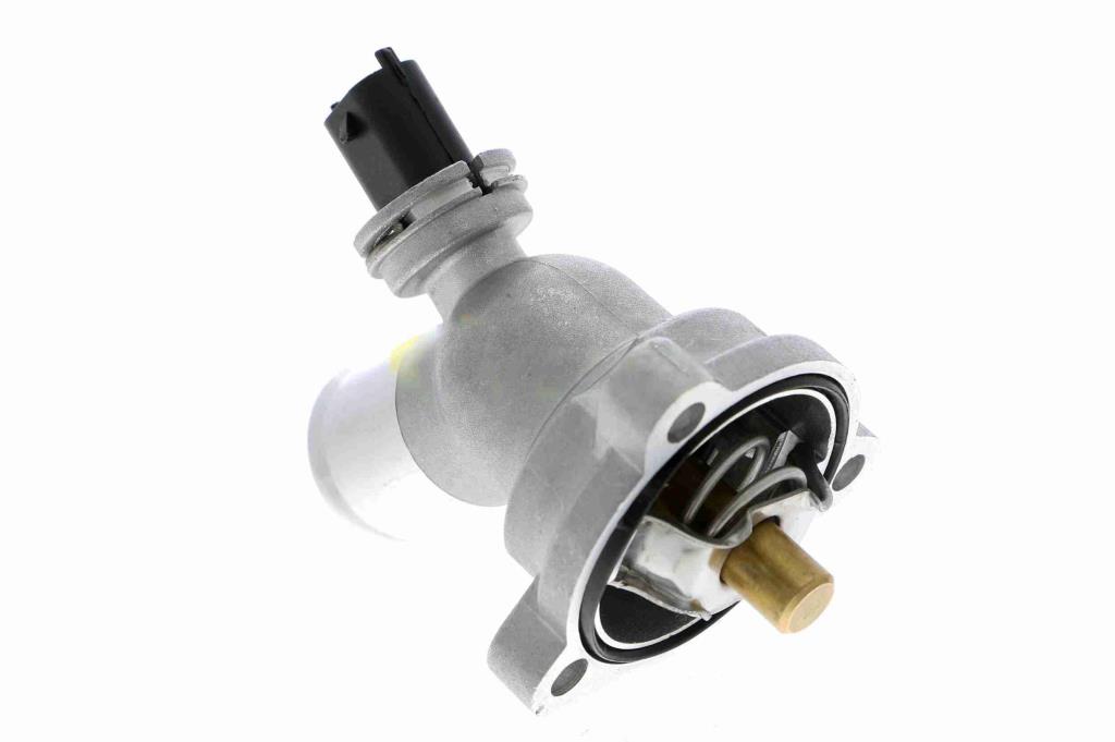 Thermostat d'eau (Calorstat) VEMO V51-99-0009