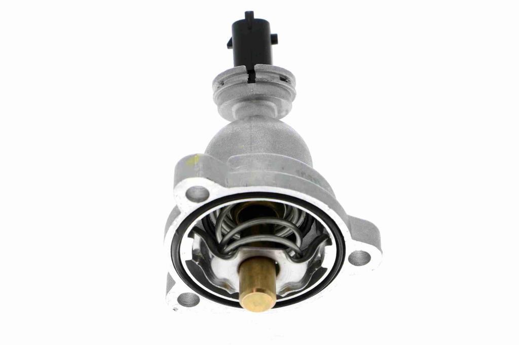 Thermostat d'eau (Calorstat) VEMO V51-99-0009