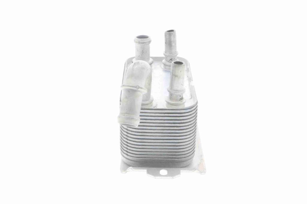 Radiador óleo motor VEMO V95-60-0005