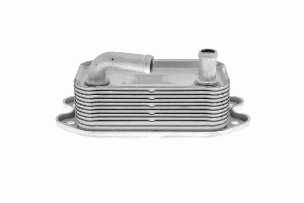 Radiateur d'huile moteur (Refroidisseur d'huile moteur) VEMO V95-60-0006