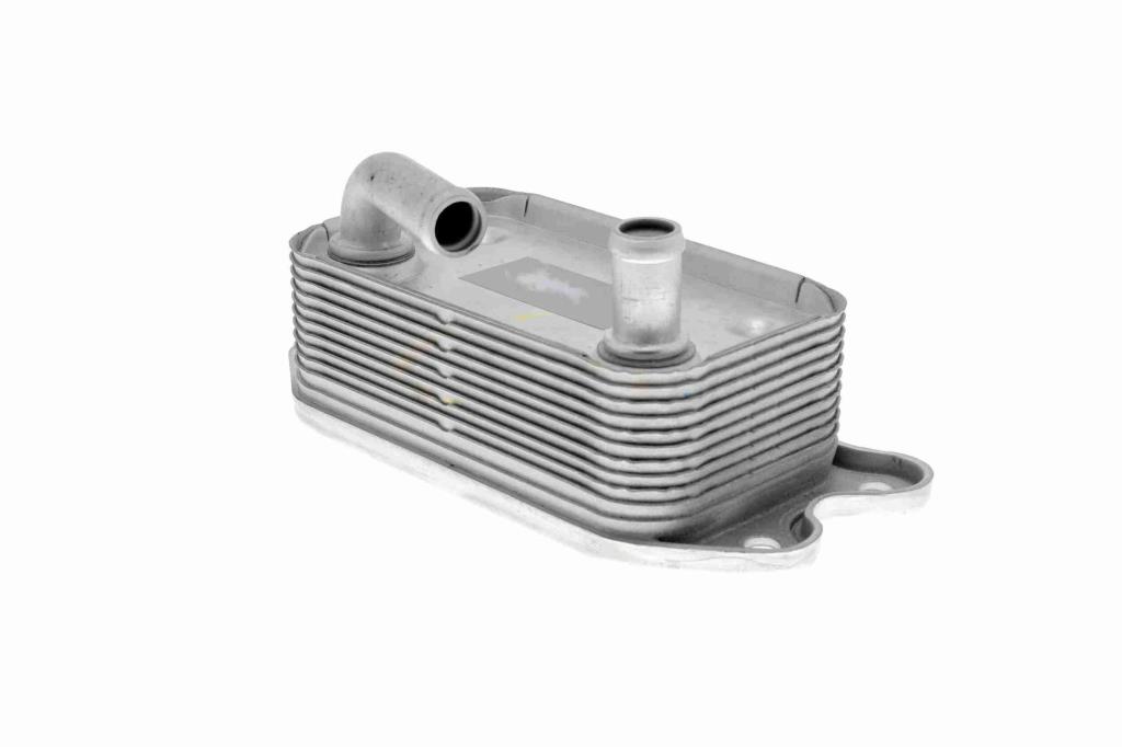 Radiateur d'huile moteur (Refroidisseur d'huile moteur) VEMO V95-60-0006