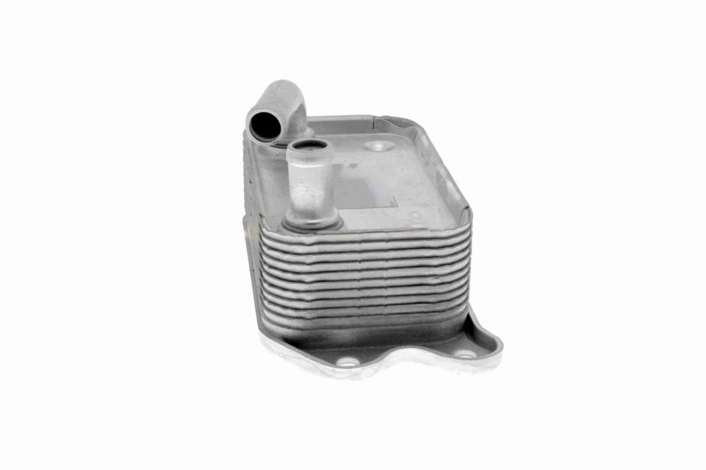 Radiateur d'huile moteur (Refroidisseur d'huile moteur) VEMO V95-60-0006