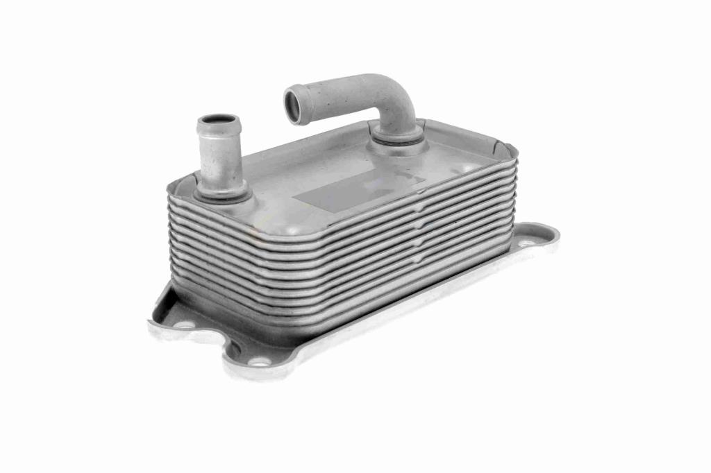 Radiateur d'huile moteur (Refroidisseur d'huile moteur) VEMO V95-60-0006