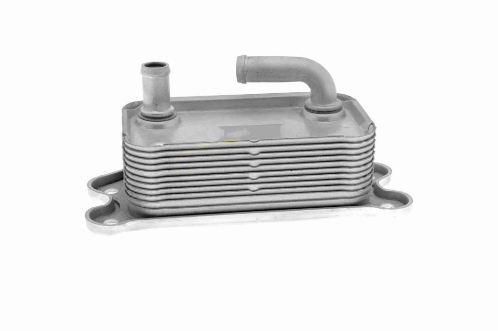 Radiateur d'huile moteur (Refroidisseur d'huile moteur) VEMO V95-60-0006