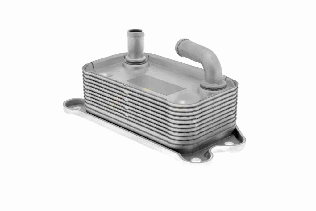 Radiateur d'huile moteur (Refroidisseur d'huile moteur) VEMO V95-60-0006