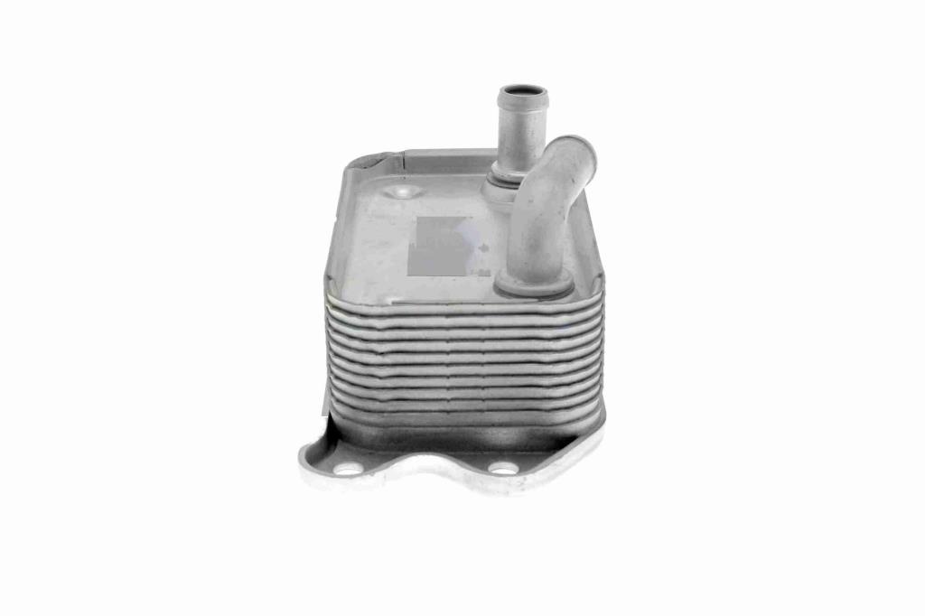 Radiateur d'huile moteur (Refroidisseur d'huile moteur) VEMO V95-60-0006