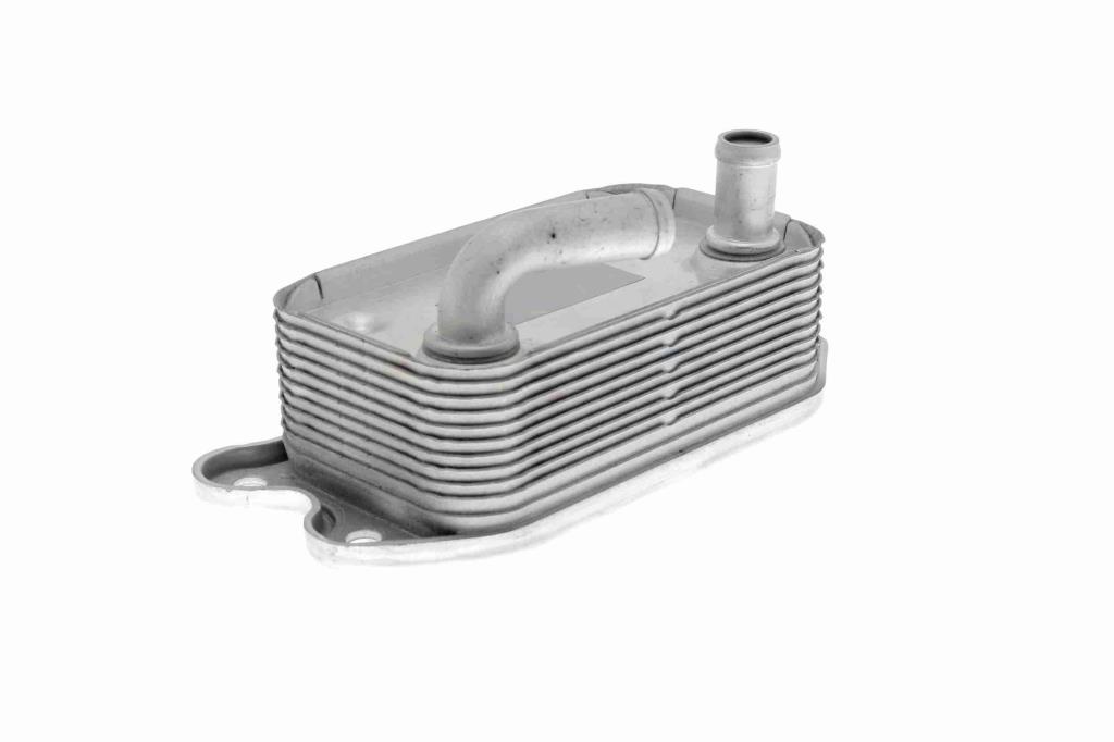 Radiateur d'huile moteur (Refroidisseur d'huile moteur) VEMO V95-60-0006