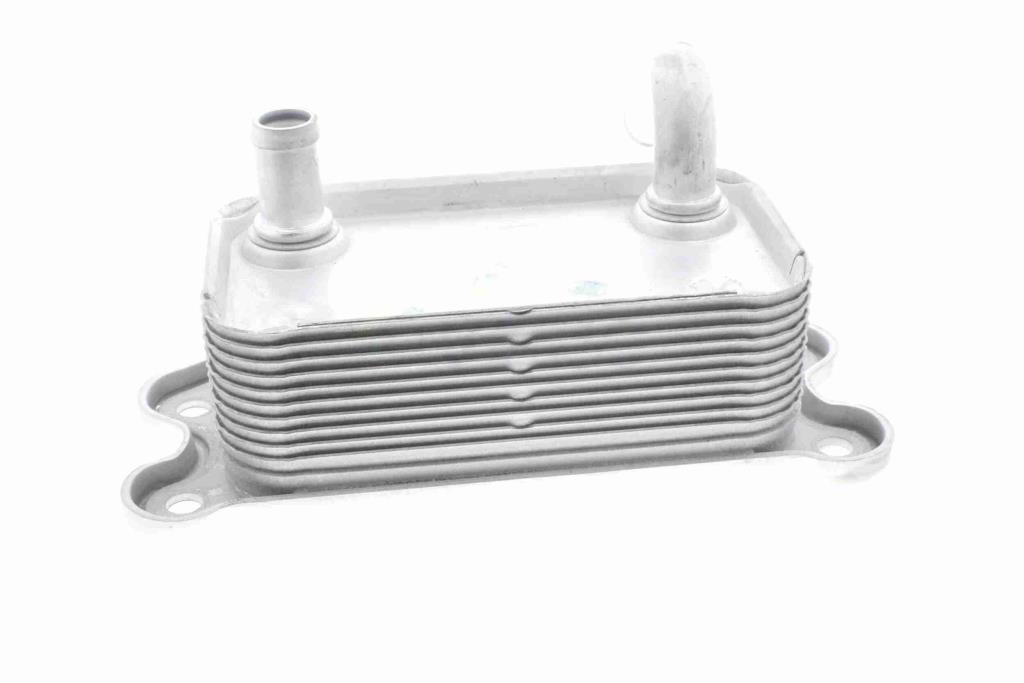 Radiador óleo motor VEMO ref. V95-60-0008