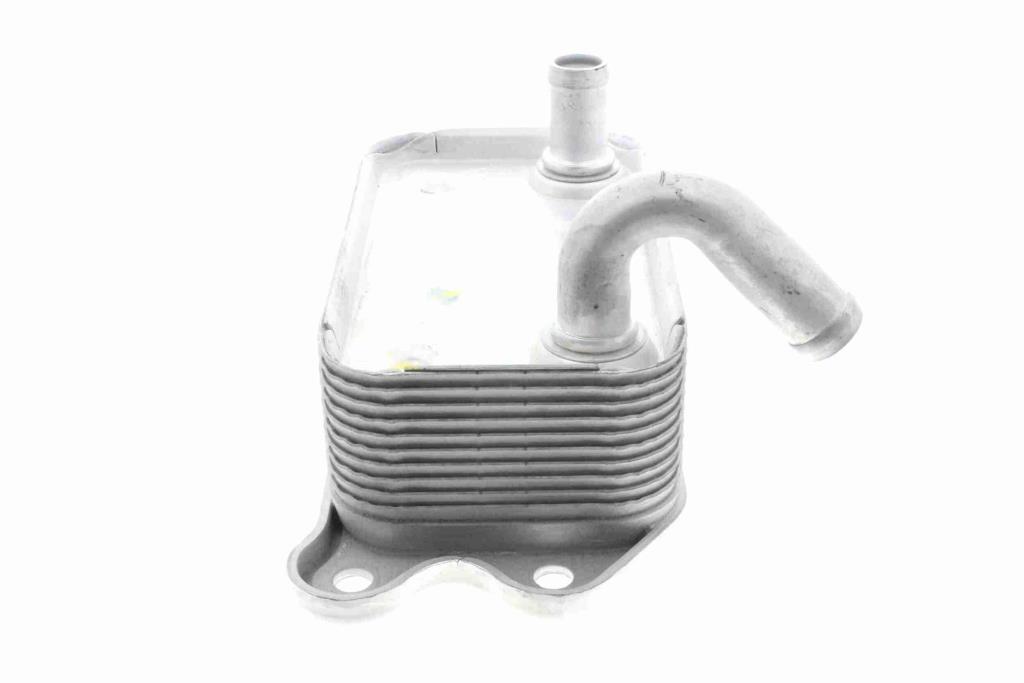 Radiador óleo motor VEMO ref. V95-60-0008