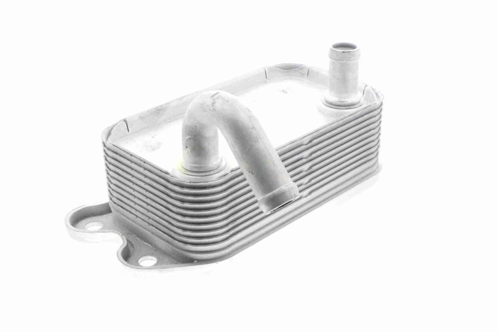 Radiador óleo motor VEMO ref. V95-60-0008