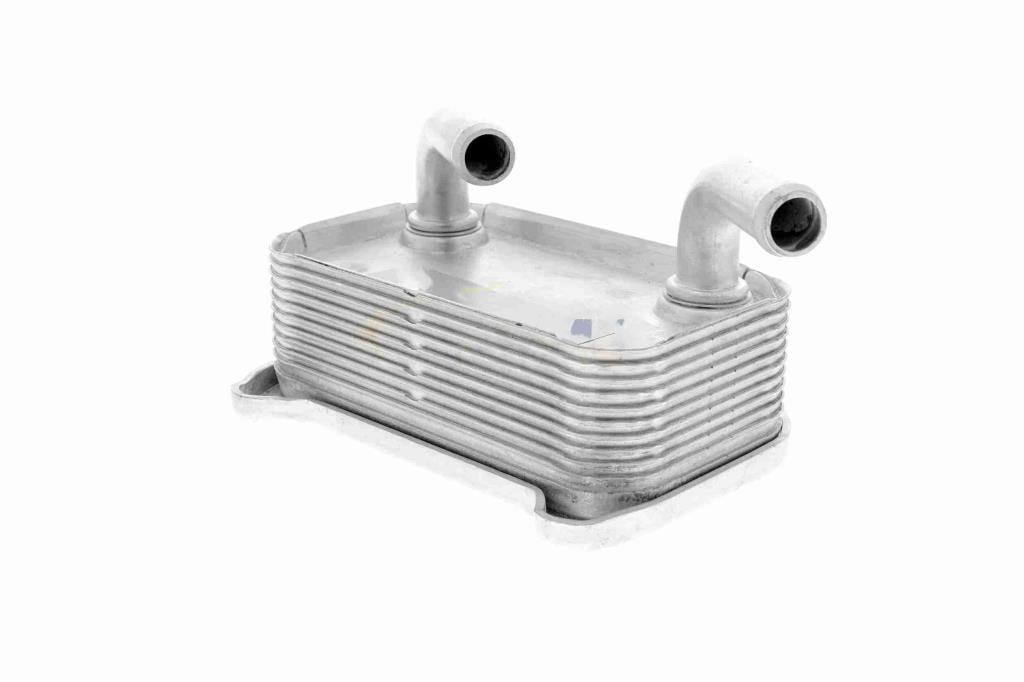 Radiador de aceite, aceite motor VEMO ref. V95-60-0010