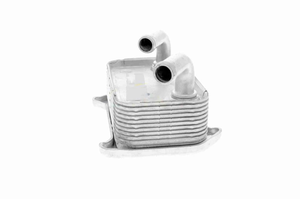 Radiador de aceite, aceite motor VEMO ref. V95-60-0010