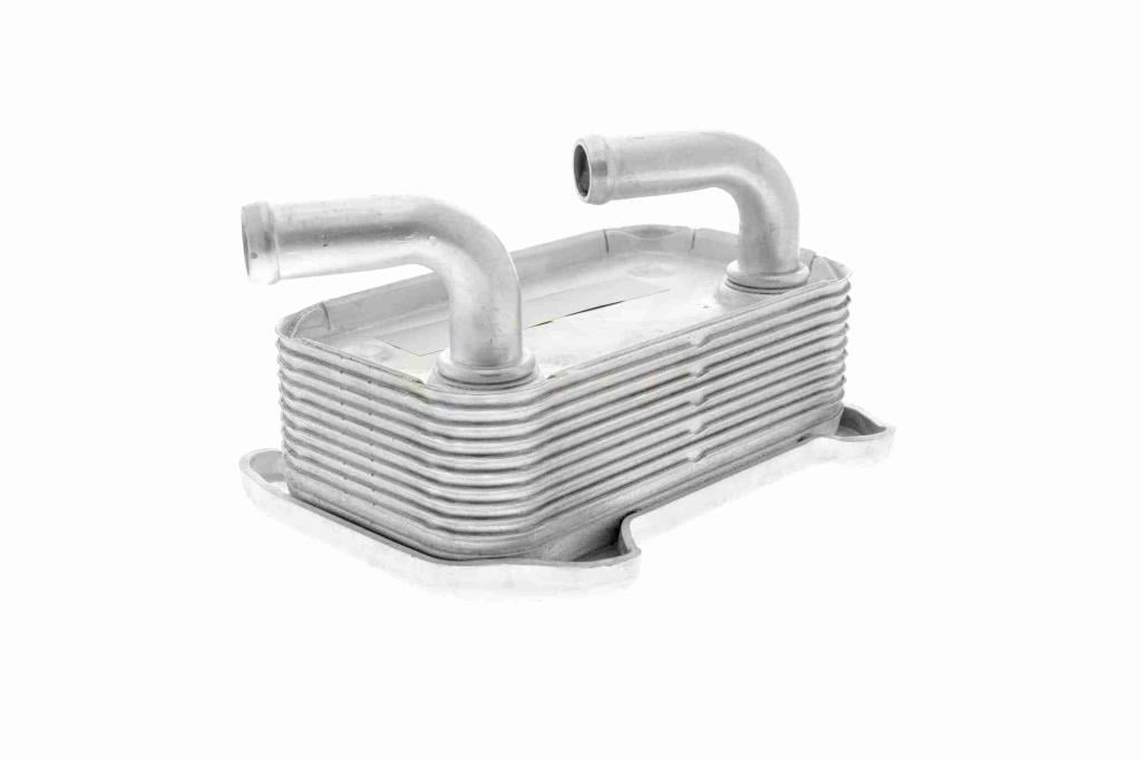 Radiador de aceite, aceite motor VEMO ref. V95-60-0010