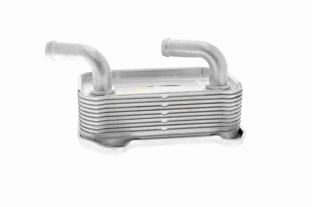 Radiador de aceite, aceite motor VEMO ref. V95-60-0010