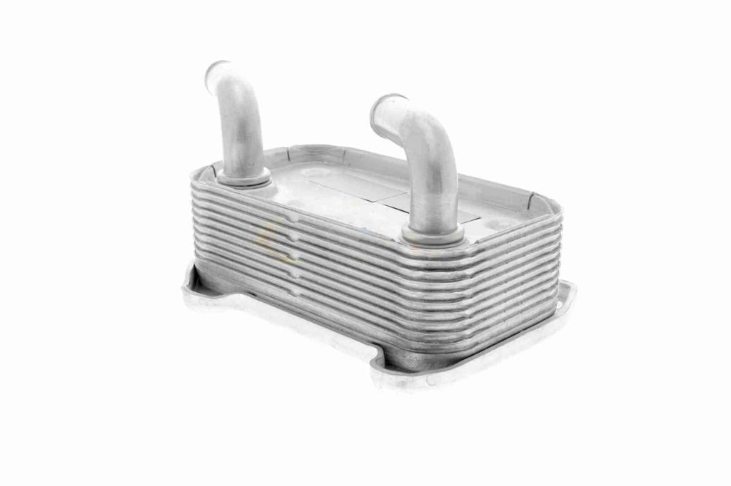 Radiador de aceite, aceite motor VEMO ref. V95-60-0010