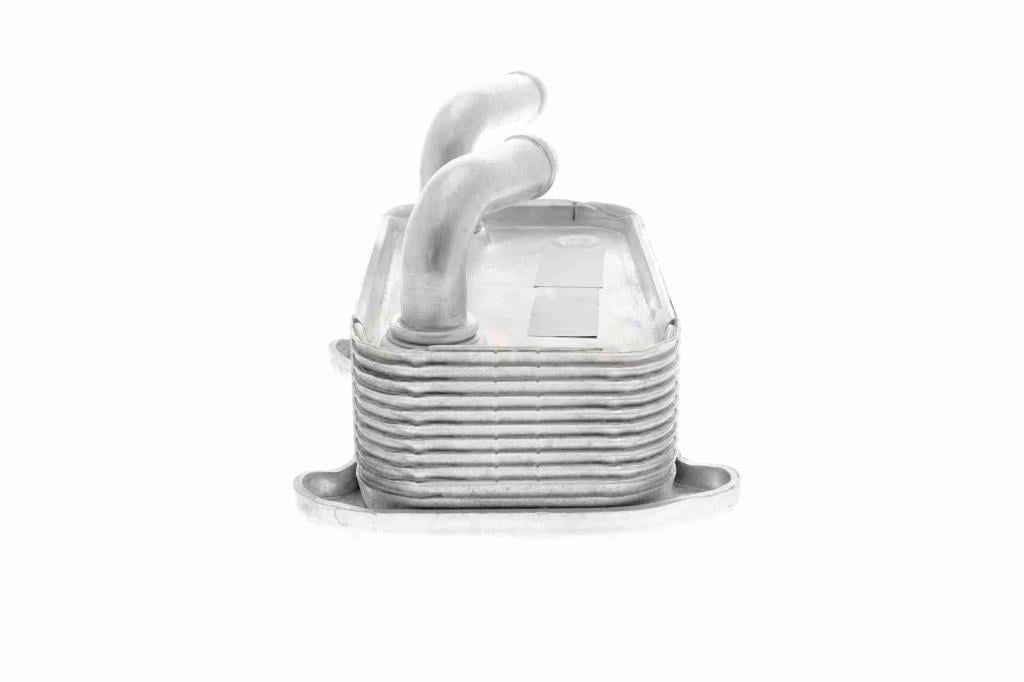 Radiador de aceite, aceite motor VEMO ref. V95-60-0010