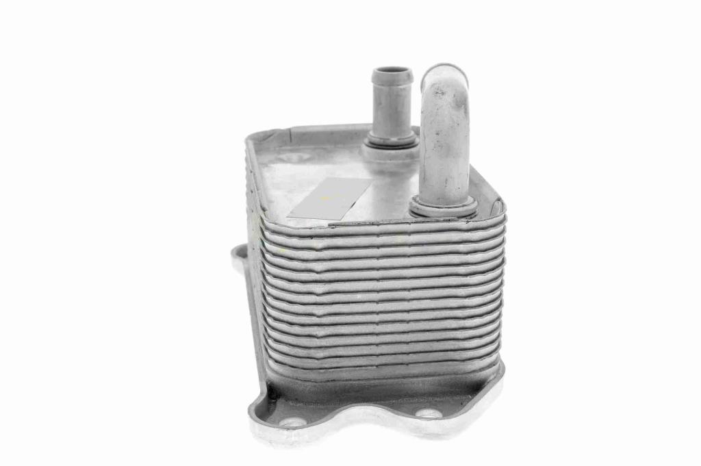 Radiador óleo motor VEMO ref. V95-60-0011