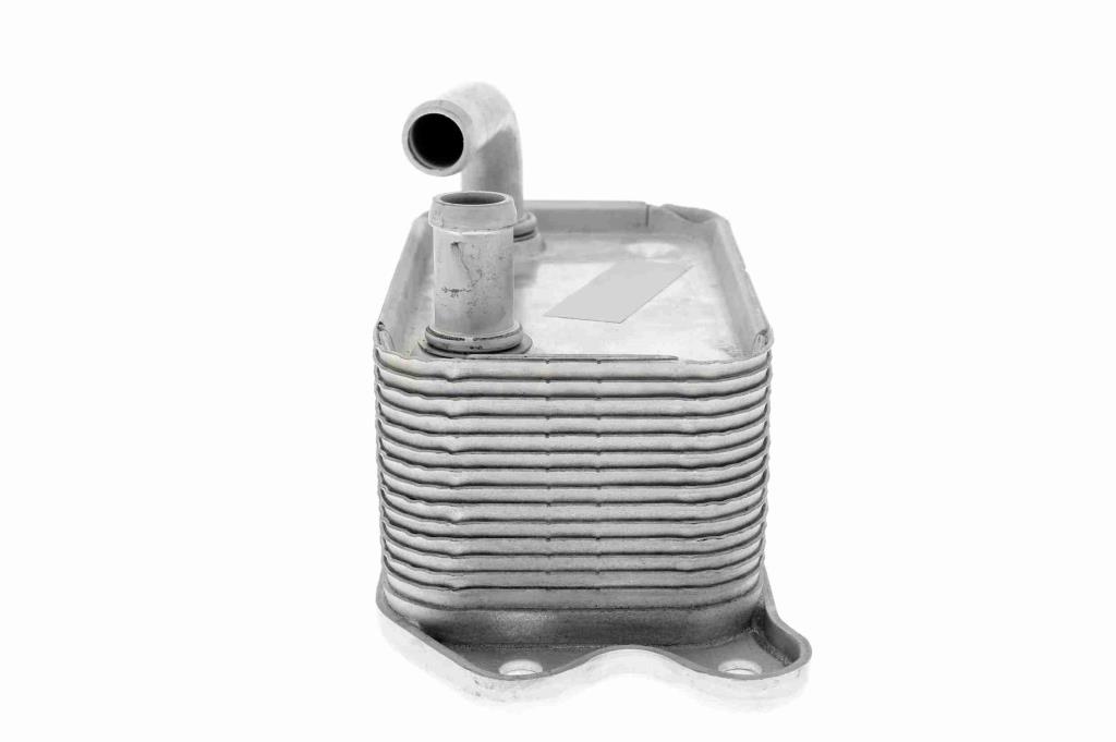 Radiador óleo motor VEMO ref. V95-60-0011