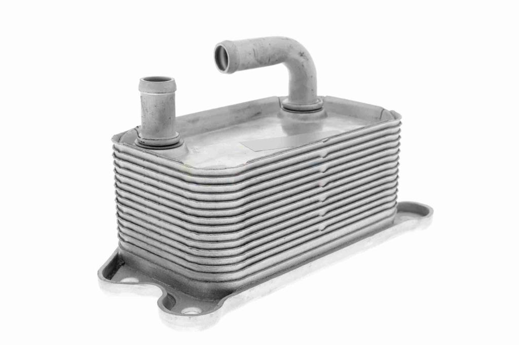 Radiador óleo motor VEMO ref. V95-60-0011