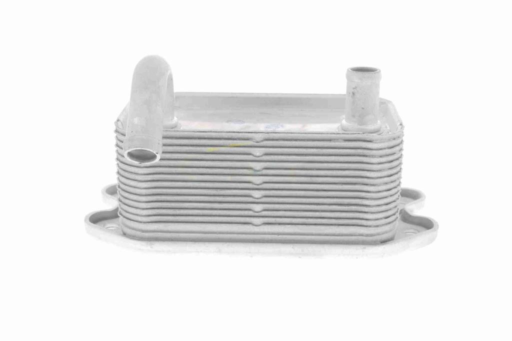 Radiador óleo motor VEMO ref. V95-60-0020