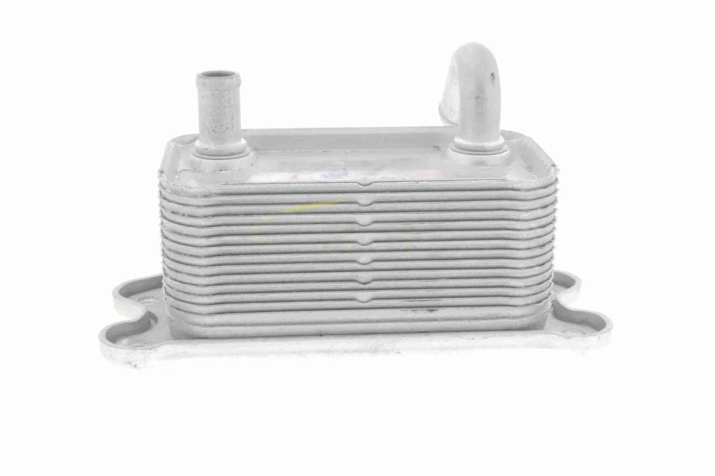 Radiador óleo motor VEMO ref. V95-60-0020