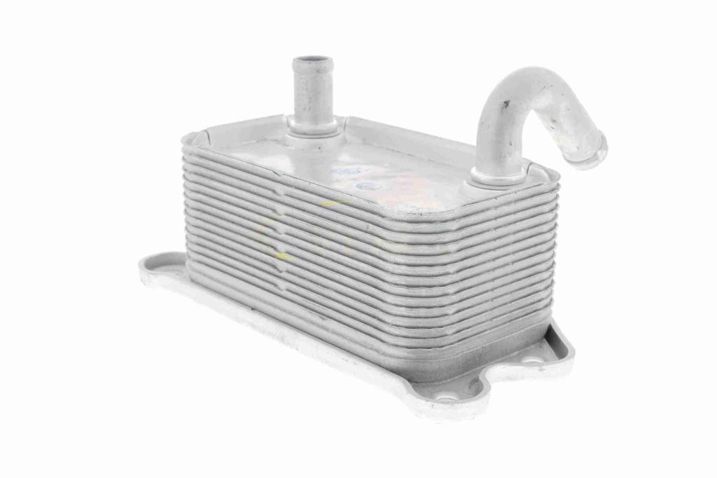 Radiador óleo motor VEMO ref. V95-60-0020