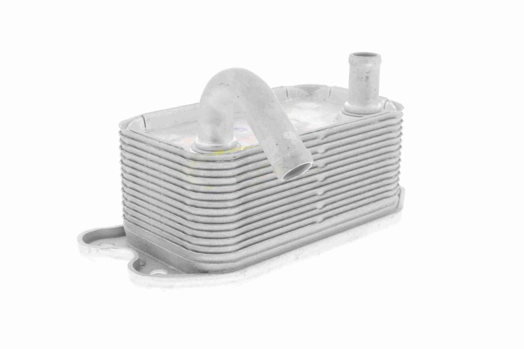 Radiador óleo motor VEMO ref. V95-60-0020