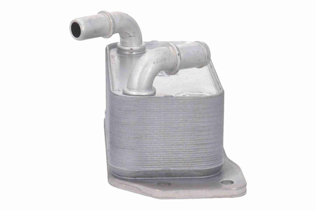 Radiador óleo motor VEMO ref. V95-60-0029