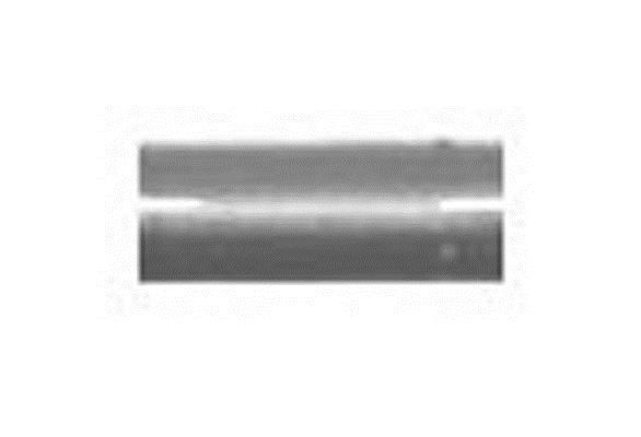 Adaptador, sonda Lambda (Abrazadera de presion, escape) IMASAF S.P.A ref. 05.20.55
