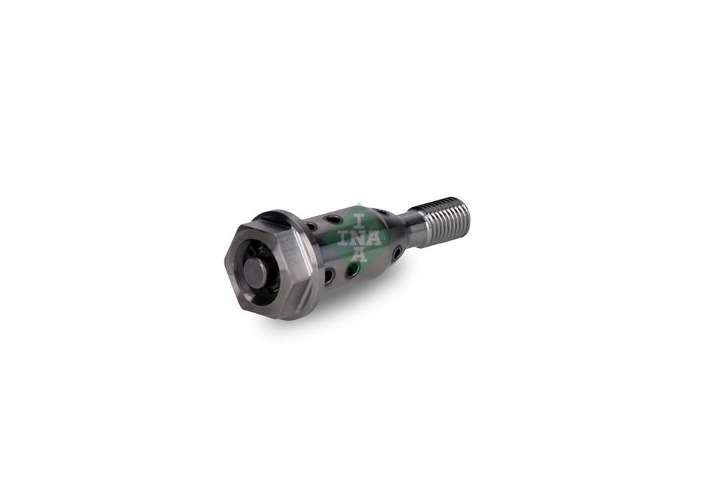 Soupape centrale, réglage de l'arbre à cames Schaeffler INA 427 0019 10