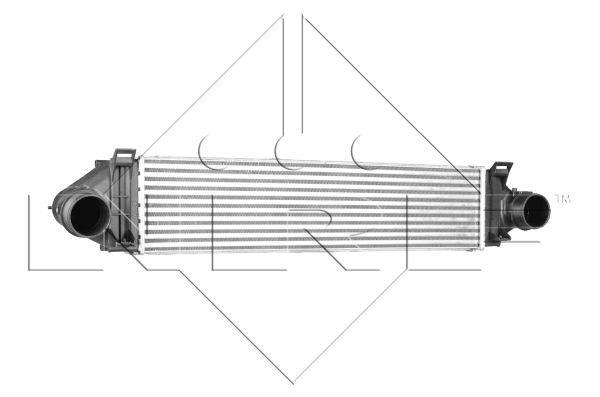 Butée hydraulique Focus