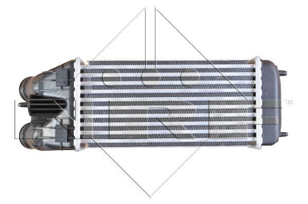 Butée hydraulique Ds3